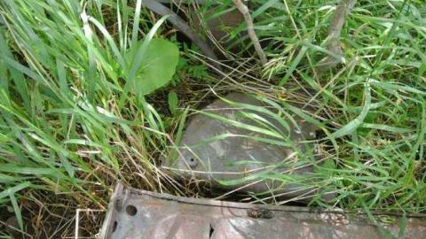 Fallen Walls - fallen walls 039.jpg