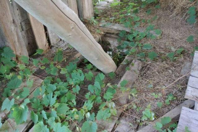 Ackhert Barn photo 4