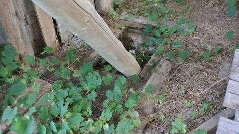 Ackhert Barn photo 4