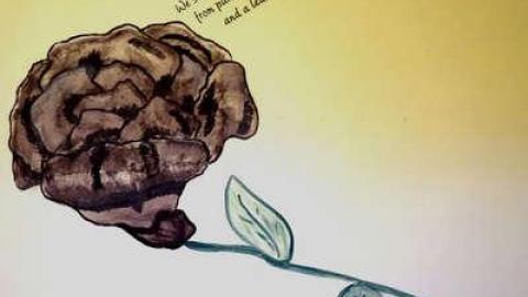 July 2014 - DSC04610.jpg