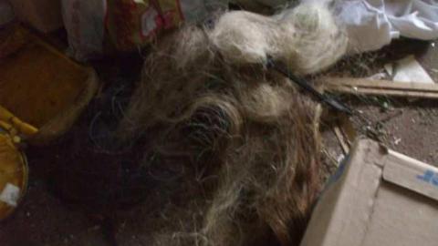 Creepy House -photo set #2 - Woodstock-1940s-House117.jpg