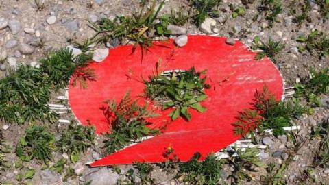 July 2014 - Elmvale-Drive-In32.jpg