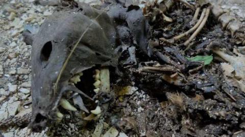 July2014 - DSCF7623.jpg