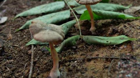 July2014 - DSCF7636.jpg