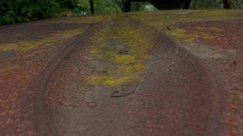 June2014 - Auto-Wreckers29.jpg