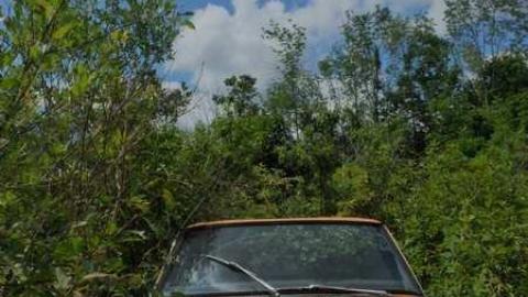 June2014 - Auto-Wreckers80.jpg