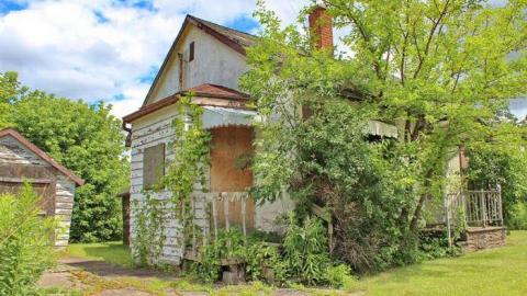 Busy Body - OAP OAP CAM 5 tsta cem 003li.jpg