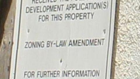 Eagle eye - Cambridge, Ontario