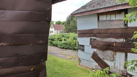 Busy Body - OAP OAP CAM 5 tsta cem 007li.jpg