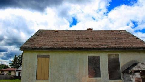 Busy Body - OAP OAP CAM 5 tsta cem 008licort.jpg