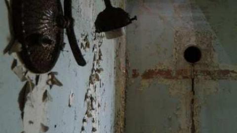 Upstairs - DSCN7433.jpg