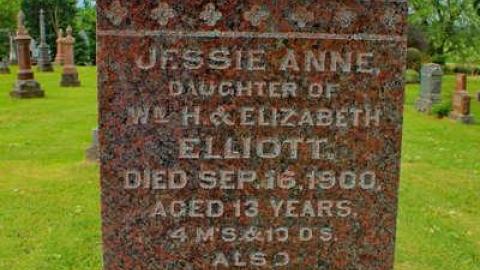 Natives of Scotland - Ratho-Pioneer-Cemetery6.jpg