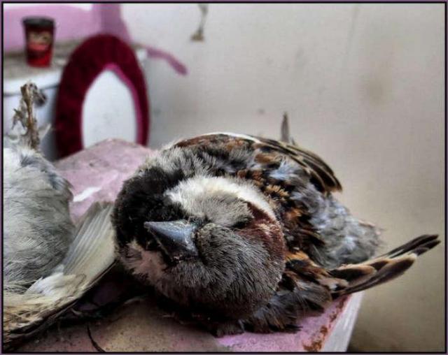 Four Stops for Two Thirds photo 5