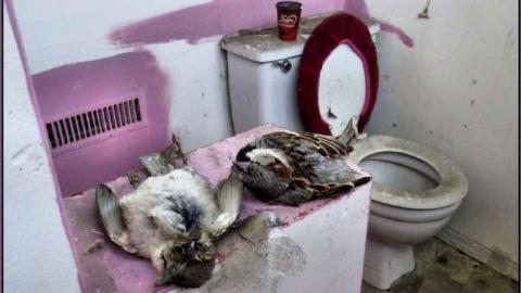 Four Times for Two Thirds - Four Times for Two Thirds 18.jpg