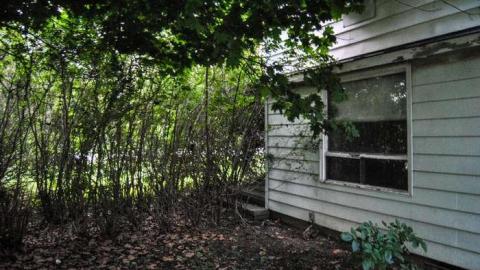 EI-EI-where did everybody go ? - No-Pigs-in-the-Blanket12.jpg