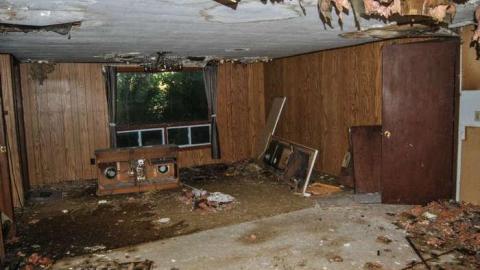 EI-EI-where did everybody go ? - No-Pigs-in-the-Blanket3.jpg