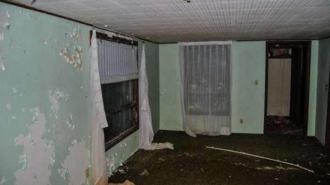 Photo from EI-EI-where did everybody go ?