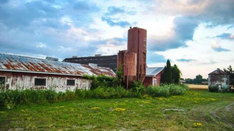 EI-EI-where did everybody go ? - No-Pigs-in-the-Blanket8.jpg