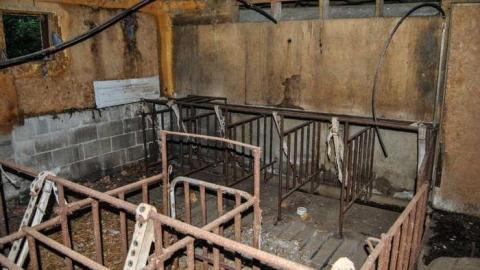 Photo from EI-EI-where did everybody go ?