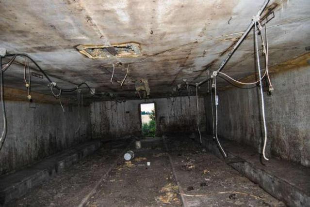 No Pigs in the Blanket photo 3