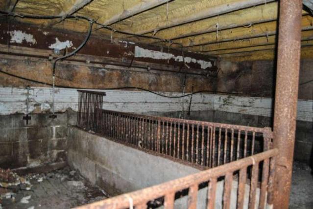 No Pigs in the Blanket photo 4