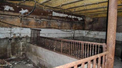 Photo from EI-EI-where did everybody go ?