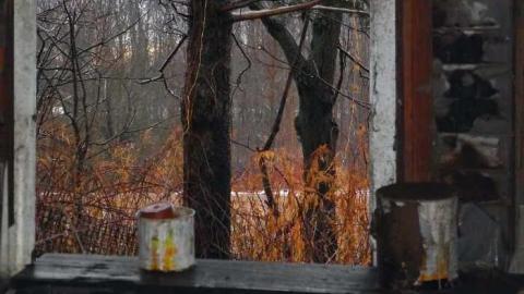 Creepy - Woodstock-1940s-House111.jpg