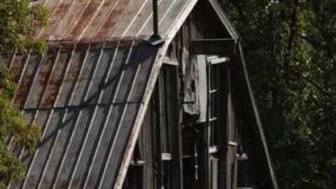 Christian Reesor - IMG_1620.jpg