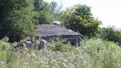 Christian Reesor - IMG_1614.jpg