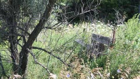 Christian Reesor Property photo 4