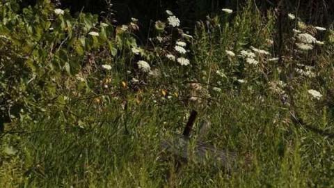 Christian Reesor - IMG_1621.jpg