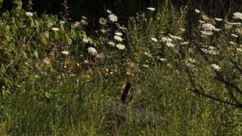 Christian Reesor - IMG_1622.jpg