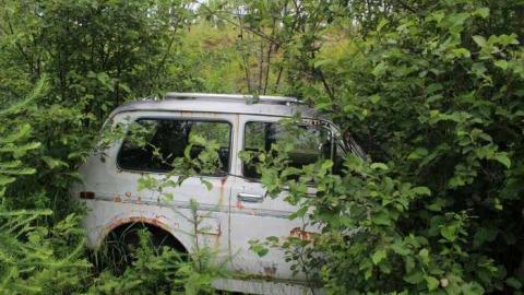 Photo from Gelert In & Around