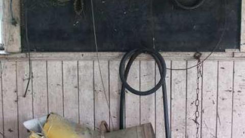 Gelert In & Around - Gelert-(ghost-town)30.jpg