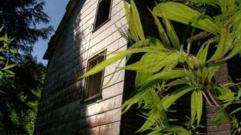 Death and hell - 1b.jpg