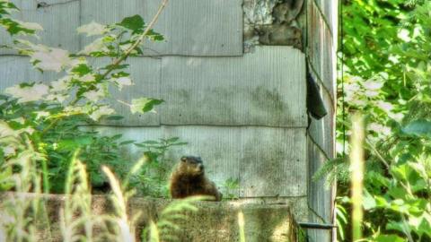 Death and hell - 2b.jpg