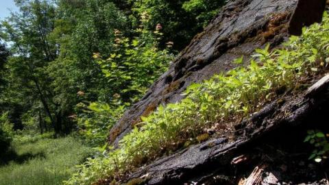 Death and hell - 3.jpg