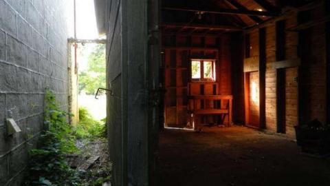 In The Way Of Progress - Elora-Ruins-House28.jpg