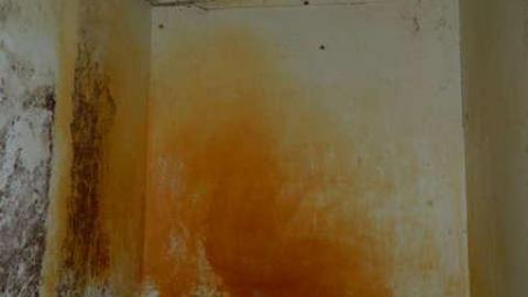 In The Way Of Progress - Elora-Ruins-House12.jpg