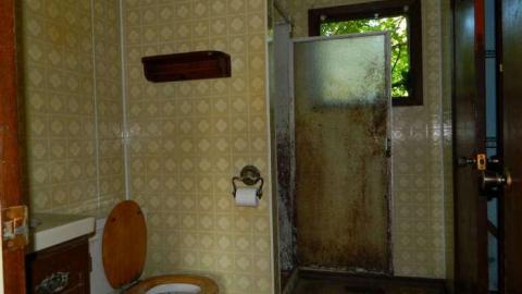 In The Way Of Progress - Elora-Ruins-House32.jpg