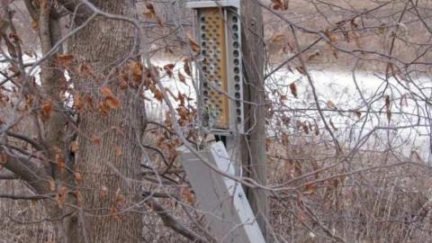 Sideline 28 Dog Kennels - Dog-Kennels--Shed3.jpg