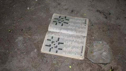 Dog Kennels & Shed photo 3