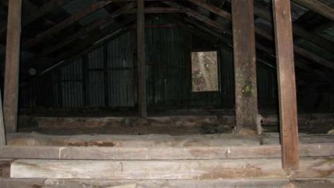 Sideline 28 Dog Kennels - Dog-Kennels--Shed7.jpg