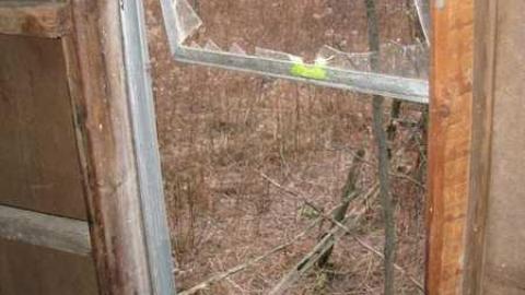 Sideline 28 Dog Kennels - Dog-Kennels--Shed8.jpg