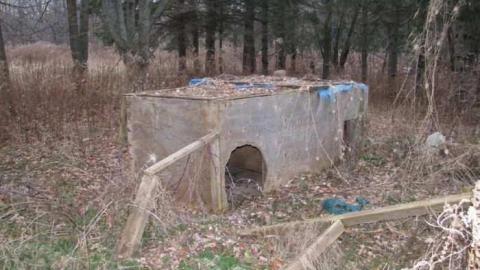 Sideline 28 Dog Kennels - Dog-Kennels--Shed10.jpg