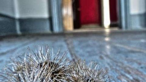 A few month before the end - 7.jpg