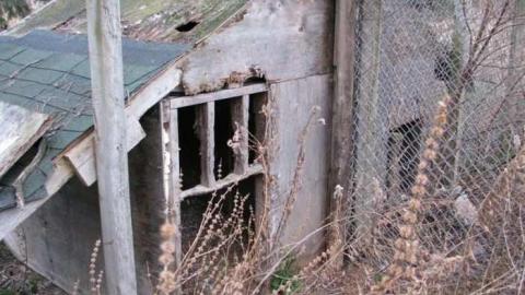 Dog Kennels & Shed photo 5