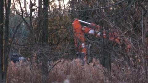 Sideline 28 Dog Kennels - Dog-Kennels--Shed13.jpg