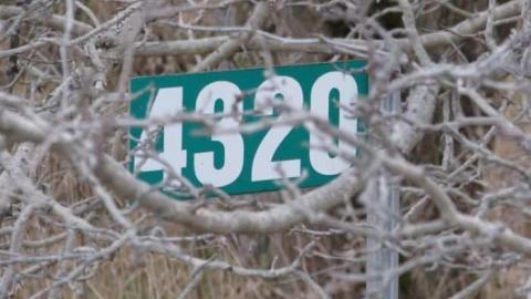 Sideline 28 Dog Kennels - Dog-Kennels--Shed14.jpg