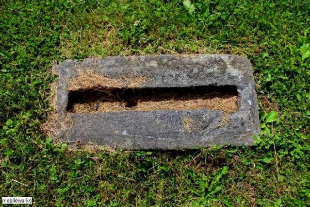 United Church Pioneer Cemetery photo 4